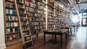 Photo taken from the back of The Next Page bookstore, looking along a line of bookshelves with a ladder toward a window