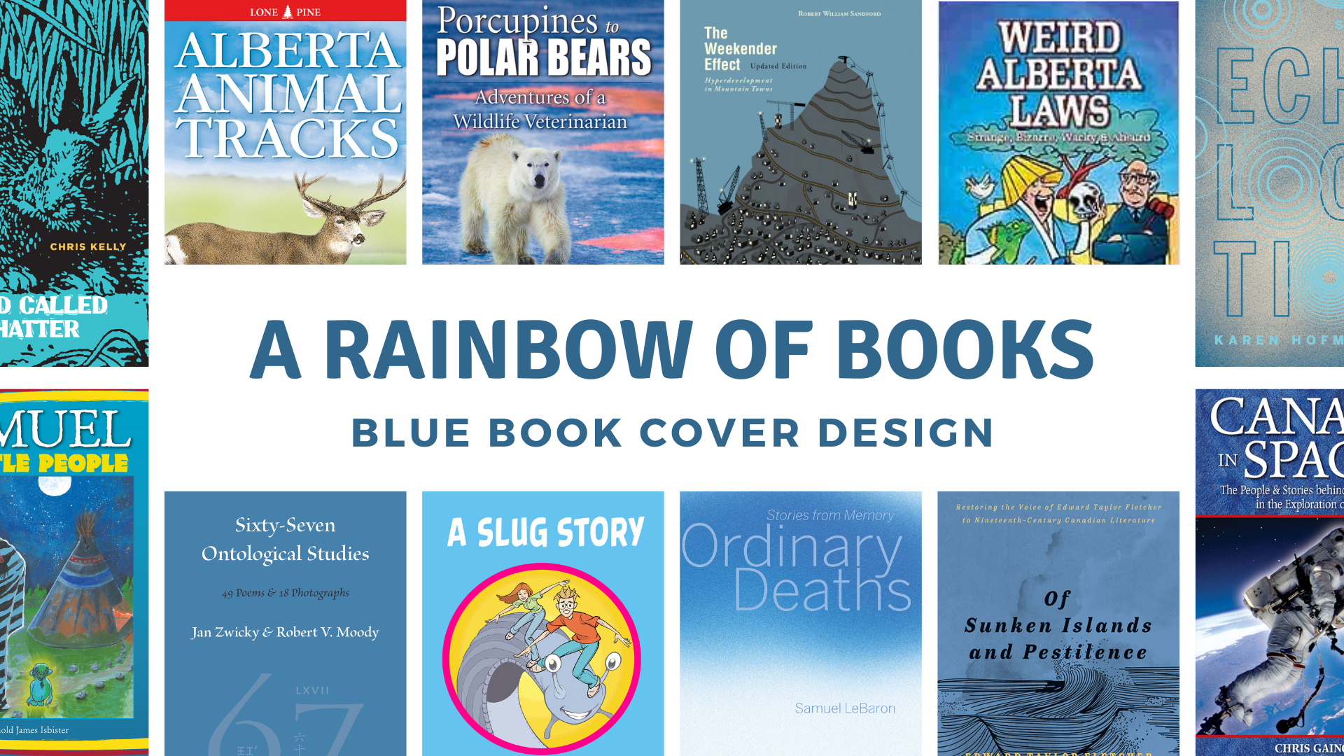 A Rainbow of Books: Blue