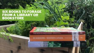 Six Books to Forage from a Library or Bookstore: THE PATH TO WILD FOOD and MUSHROOMS OF WESTERN CANADA are perched on the edge of a box planter. Bright green plants, including carrot tops and green onions are visible behind the books..