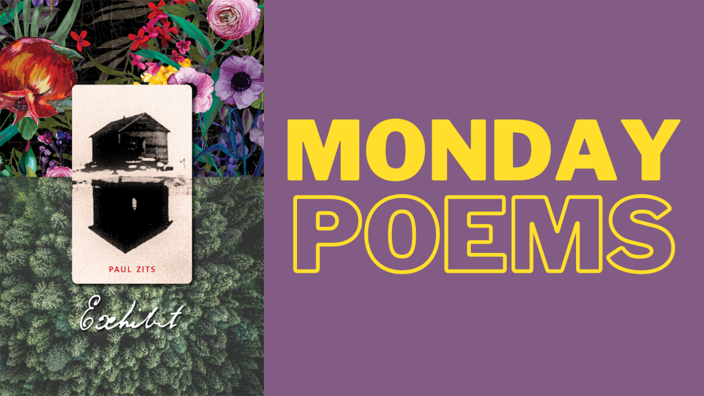 Monday Poems: Exhibit by Paul Zits