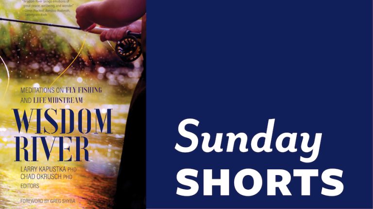Feature Image for December 2023 Sunday Shorts: Sunday Shorts is written in white text on a navy blue background. To the left of the text is the book cover for Wisdom River (Durvile & UpRoute Books).