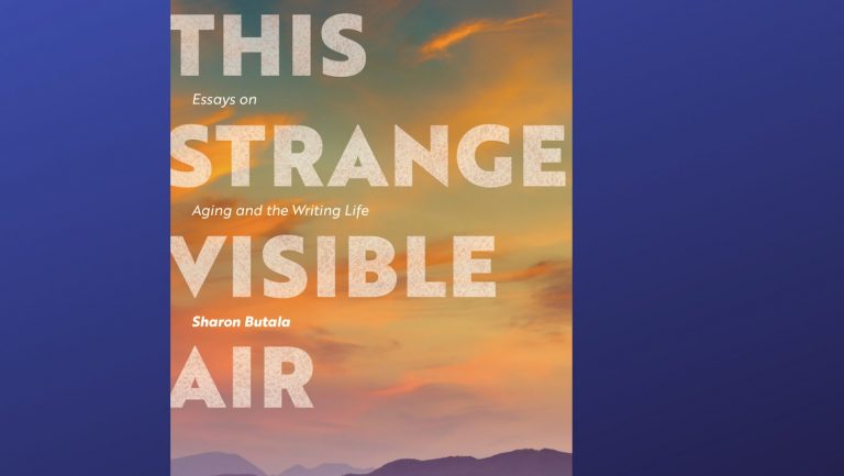 This Strange Visible Air Book Cover