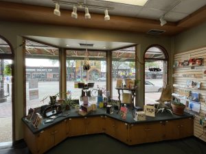 The bay windows from inside the bookstore, looking out towards the street. 